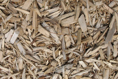 biomass boilers Artrea